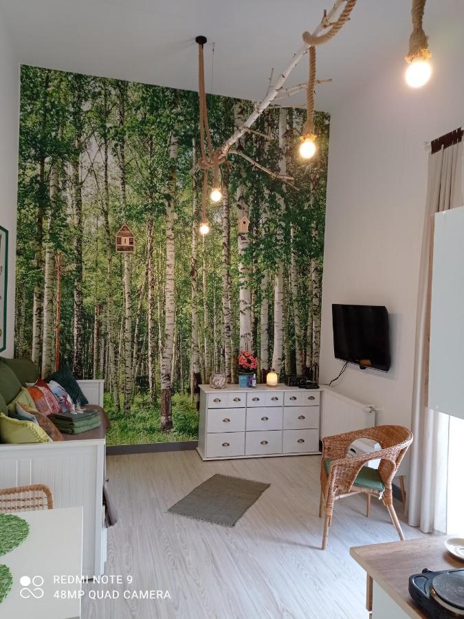 Studio Lesne Lubniewice Exterior foto